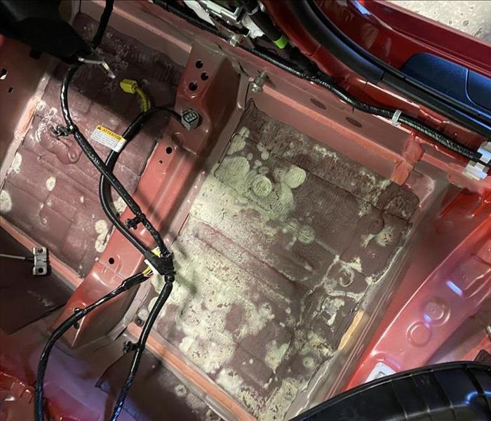 mold at the bottom of a red car