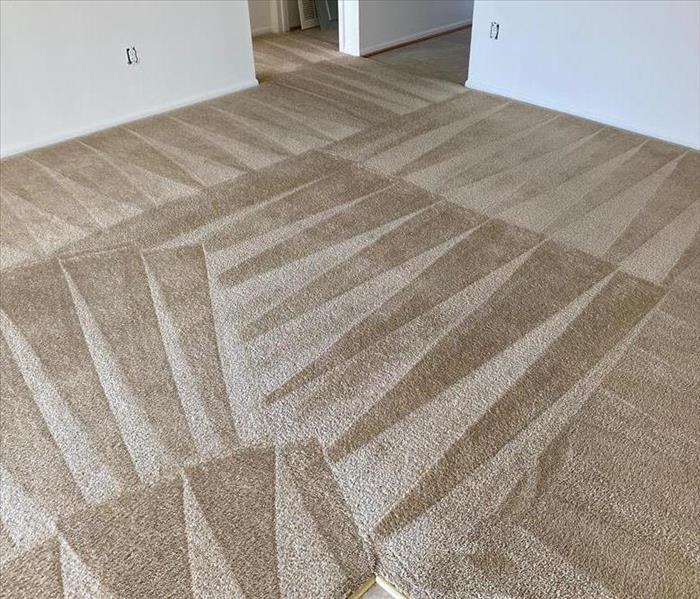 cleaning stripes in a carpet 