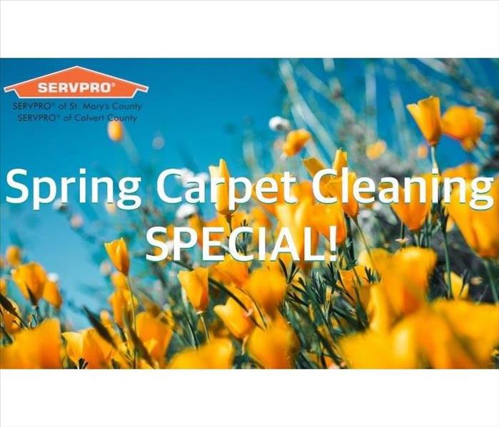 yellow flowers with sky background and SERVPRO house with franchise names and spring carpet cleaning special written in white