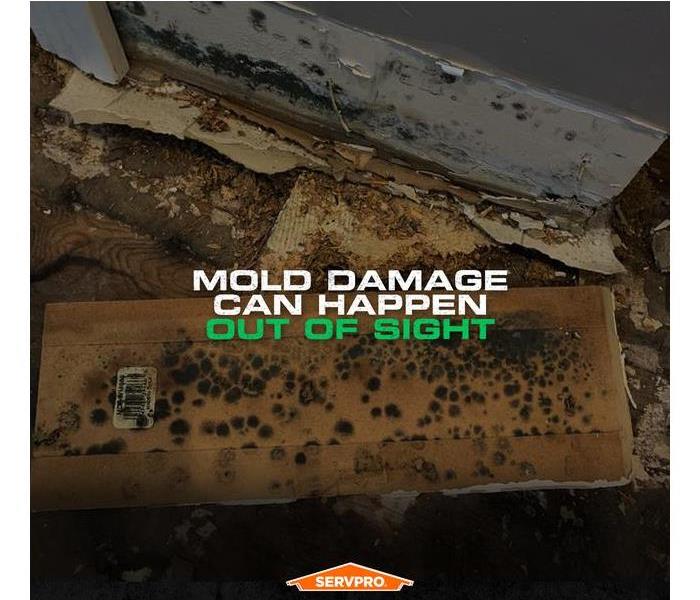Mold covering the back of a baseboard and on the exposed sheetrock with the caption: MOLD CAN HAPPEN OUT OF SIGHT